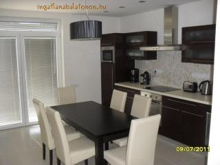 Exkluzív, minimál nyaralóvilla kiadó saját stranddal (331)