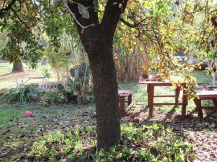 Badacsonytomaj közelében, családi ház eladó