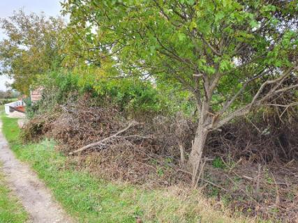 Kert- és nyaraló gondozás