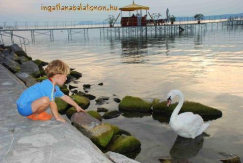 Balatoni vízparti és vízközeli apartmanok