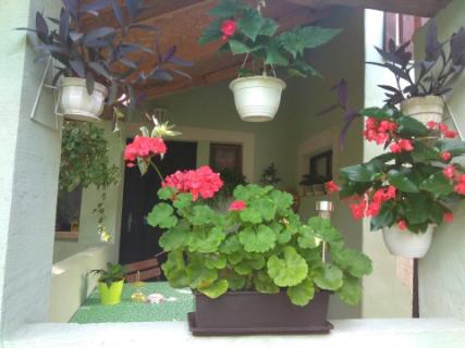 Balatonalmádiban 4 személynek házikó kiadó