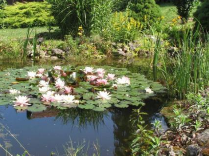 Sziklakert Vendégház Szigliget