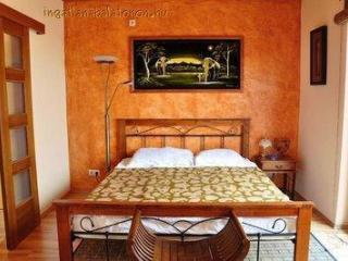 Vízparti mediterrán nyaraló 6+2 főnek Balatonszárszón (104)