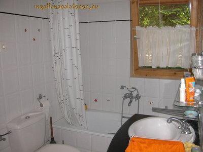 Balatonakarattyán közvetlen vízparti nyaraló stéggel (217)