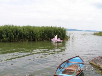 Balatonfenyvesen közvetlen vízparti luxus nyaraló (79)