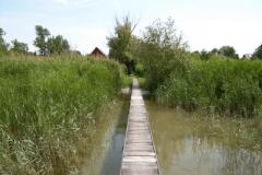 Balatonfenyvesen 5 fős nyaraló rész a Balatontól 100 m-re (73)