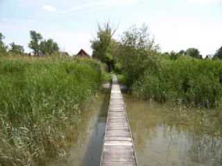 Balatonfenyvesen 5 fős nyaraló rész a Balatontól 100 m-re (73)