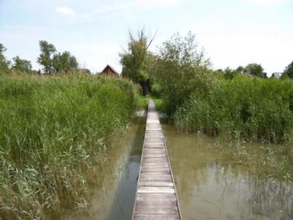 Balatonfenyvesen 5 fős nyaraló rész a Balatontól 100 m-re (73)