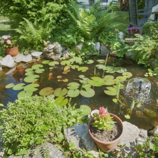 Ágiszalon Apartman, 1 apartman 2 férőhely