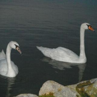 Sziszi Apartman, 1 apartman 6 férőhely