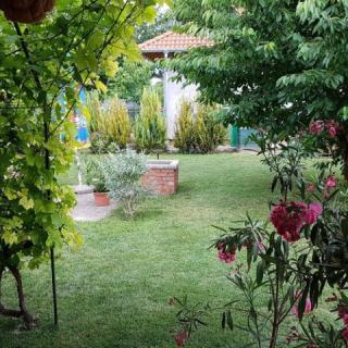 Betti Apartman, 1 apartman 8 férőhely