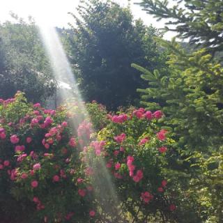 Jurta Hotel, 8 szoba 18 férőhely