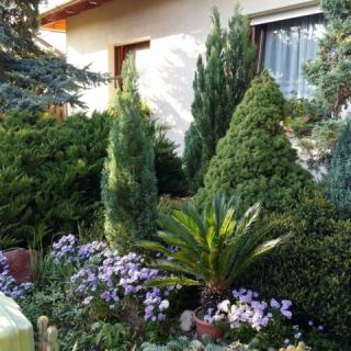 Häuschen Viktória, 1 apartman 2 férőhely