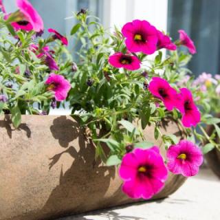 Villa Fontana Apartmanok, 4 apartman 15 férőhely