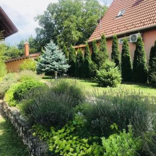 Magori Apartman, 1 apartman 6 férőhely