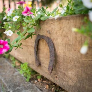 Sunny Garden Apartman, 1 apartman 8 férőhely