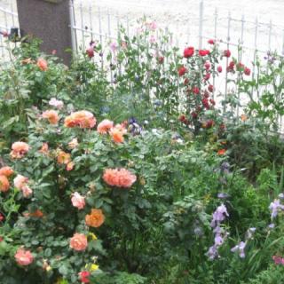 Valloris Apartments, 3 apartman 8 férőhely