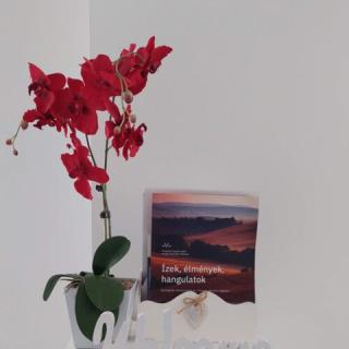 Orchidea Apartman, 2 apartman 9 férőhely