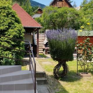 Szabadság 17 Üdülőház, 2 apartman 9 férőhely