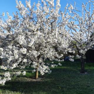 Kökényes Nyaralóház, 3 szoba 6 férőhely