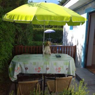 Beni Apartman, 4 apartman 12 férőhely