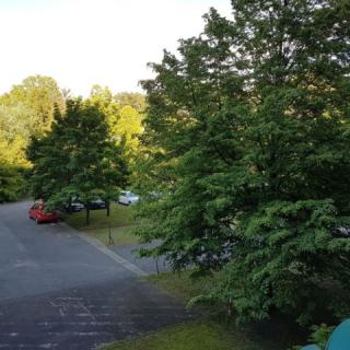 Neptun Apartmanház Platánsor, 1 apartman 2 férőhely