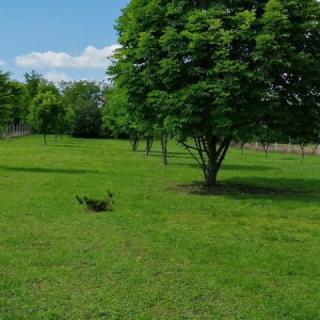 Gesztenye Vendégház, 2 szoba 5 férőhely