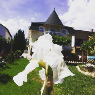 Tristan Apartman, 1 apartman 4 férőhely