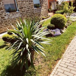 Levendula Villa, 4 szoba 8 férőhely