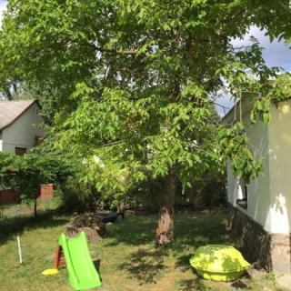 Toldi Nyaraló, 3 szoba 6 férőhely