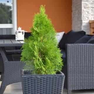 Balaton Relax Apartmanház, 2 apartman 8 férőhely