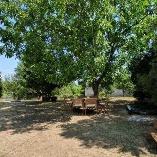 Diófa Vendégház, 3 szoba 6 férőhely