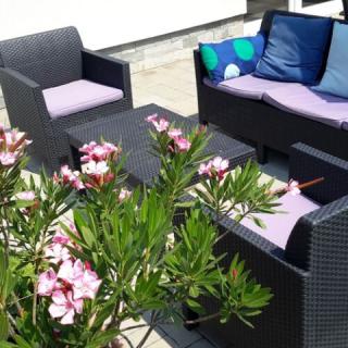 Hunor House Apartman, 1 apartman 8 férőhely