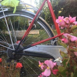 Bringás Apartman Ride In, 2 apartman 4 férőhely