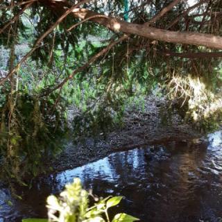 Flóra Apartman a Balatonnál, 1 apartman 2 férőhely