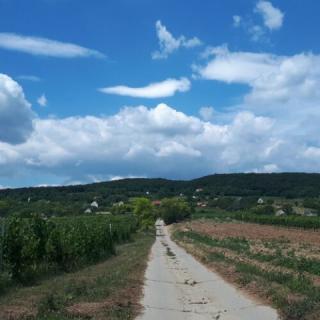 Káli 120 Vendégház, 3 szoba 8 férőhely