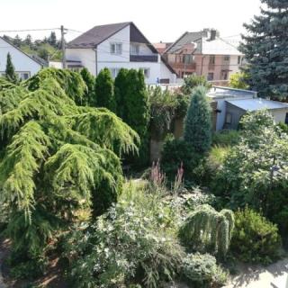 Édenkert Apartman, 1 apartman 10 férőhely