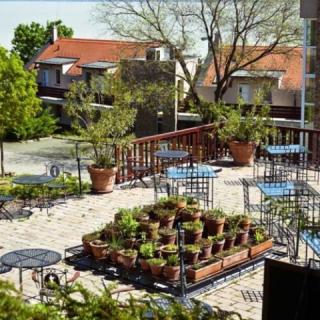 Platán Villa, 1 apartman 6 férőhely
