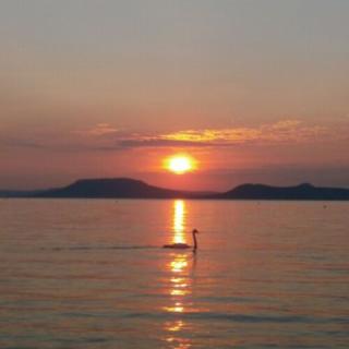 Kati#039;s Nyaralóház, 1 szoba 2 férőhely