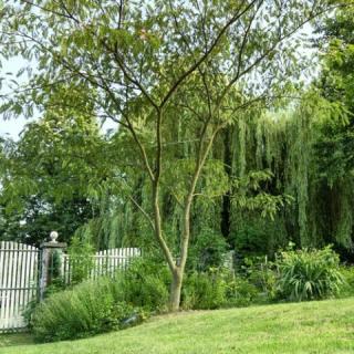 Tiszta Forrás Ház, 3 szoba 8 férőhely