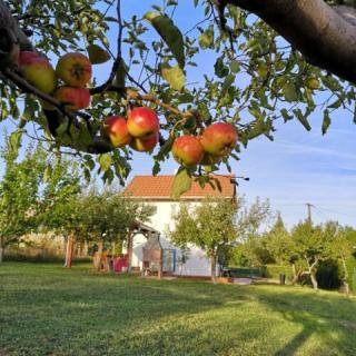 Laurus Vendégház, 2 szoba 4 férőhely