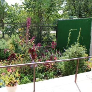 Fenyves Nyaralóház, 2 szoba 4 férőhely