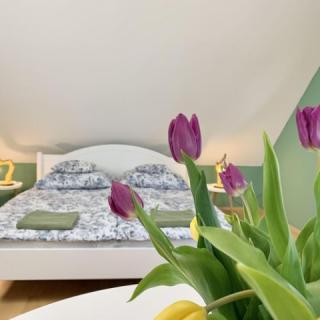 Vazul Vendégház, 4 szoba 8 férőhely