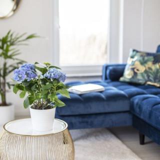 King23 Apartmanház, 3 szoba 6 férőhely