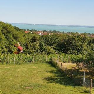 Rizlinger Apartman, 1 apartman 5 férőhely