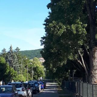 Otthon Kilátással Apartman, 1 apartman 2 férőhely