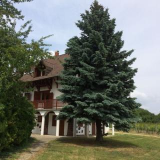 pARTvonal Apartmanház, 4 apartman 2 férőhely