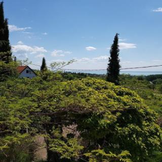 Vadvirág Vendégház, 3 szoba 9 férőhely