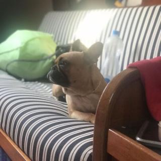 Vitorláshajó Apartman, 1 apartman 4 férőhely