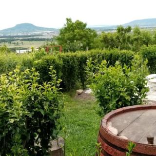 Szőlő-Hegy Vendégház, 2 szoba 4 férőhely